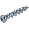 Hillman Borefast Zinc Phillips Pan-Head Screw Anchor (1-1/2) - 25 pc