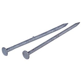 Galvanized Common Nail, 3-In., 10-D, 1-Lb.