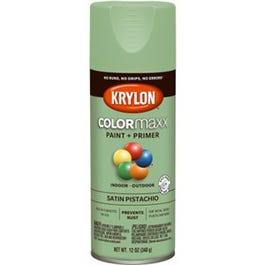 COLORmaxx Spray Paint + Primer, Satin Pistachio, 12-oz.